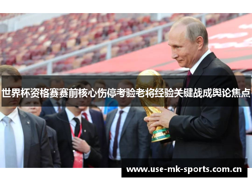 世界杯资格赛赛前核心伤停考验老将经验关键战成舆论焦点